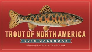 Trout of North America 2015 wall calendar