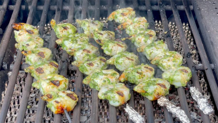 Green Lightning Shrimp
