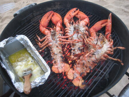Martha's Vineyard Lobster