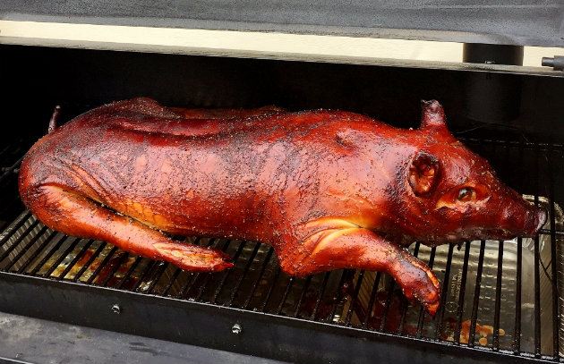 Whole hog outlet smoker