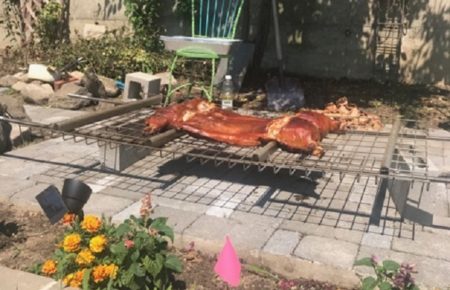A Pit, A Pig, A Party