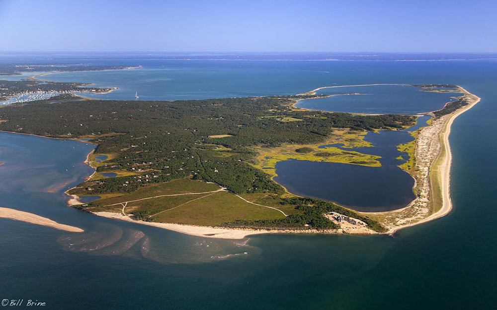 Another Side of Steven Raichlen - The Hermit of Chappaquiddick ...