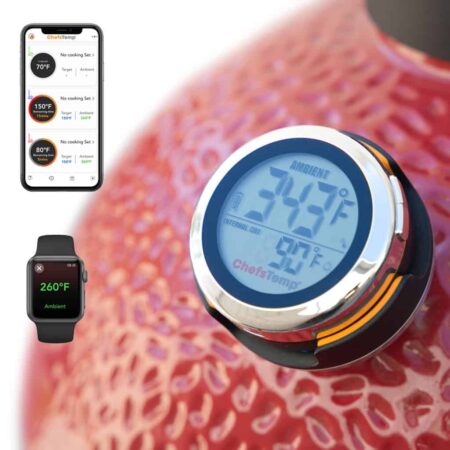 The Chefstemp Protemp S1