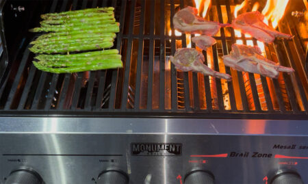 Monument Mesa II gas grill